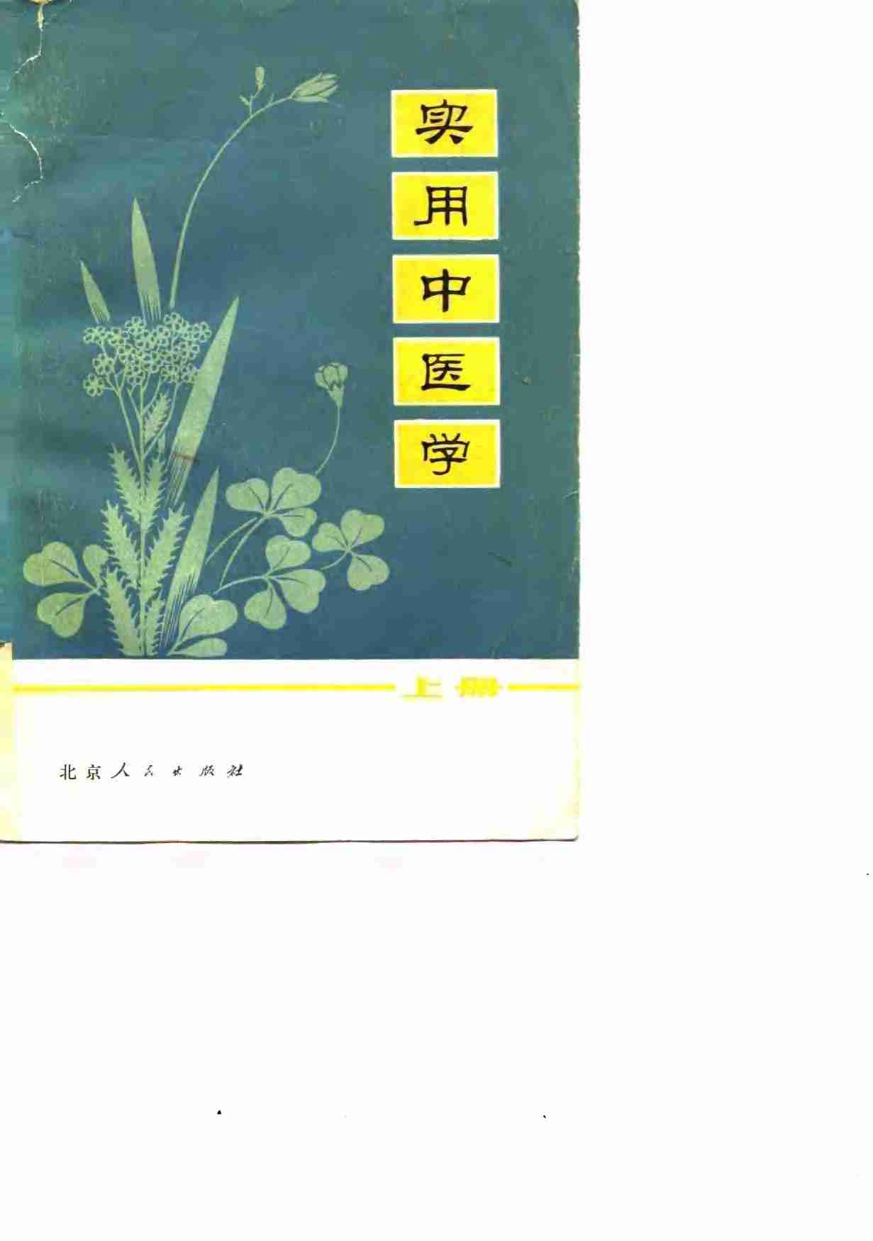 实用中医学  下